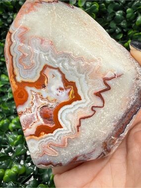 Mexican Crazy Lace Agate Polished Freeform